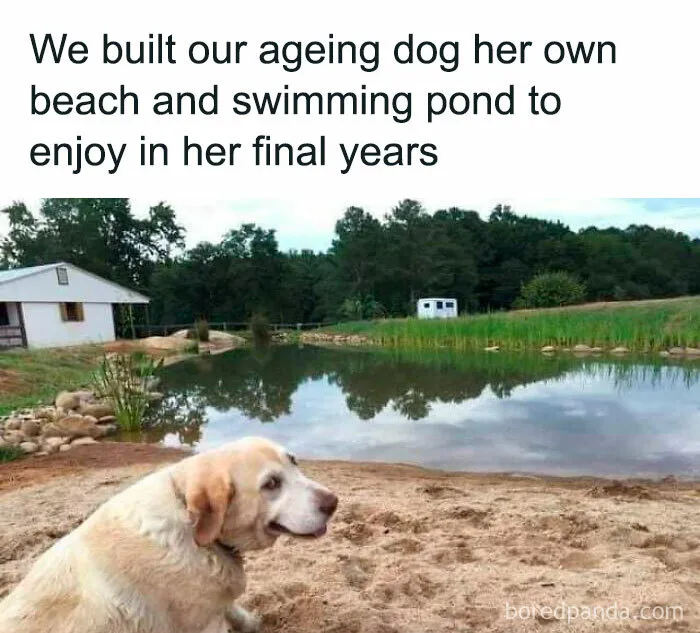 50 Posts From The “Wait This Is Wholesome” Facebook Group To Restore Your Faith In Humanity
