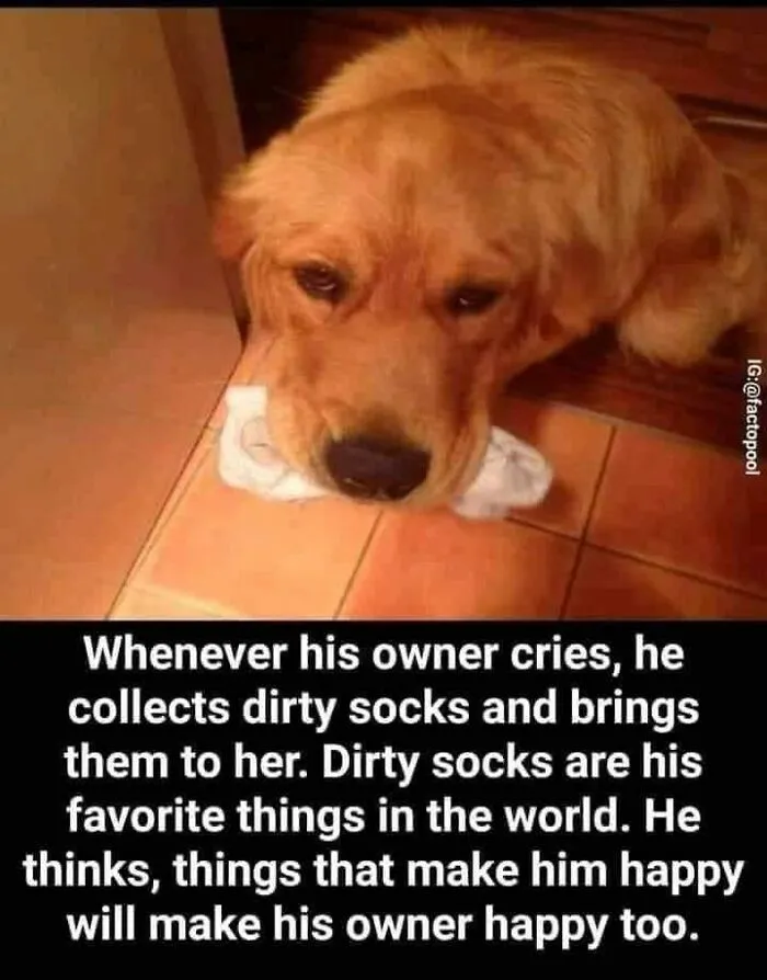 50 Posts From The “Wait This Is Wholesome” Facebook Group To Restore Your Faith In Humanity