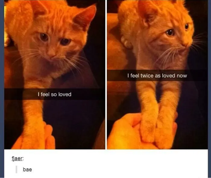 50 Times "The Weird Side Of Tumblr" Didn't Disappoint