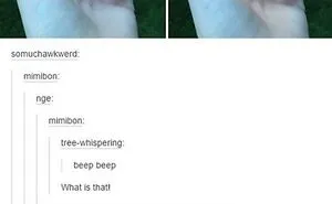 50 Times "The Weird Side Of Tumblr" Didn't Disappoint