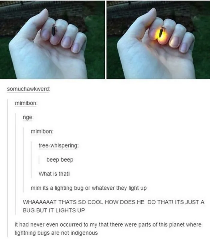 Weird-Side-Of-Tumblr-Posts