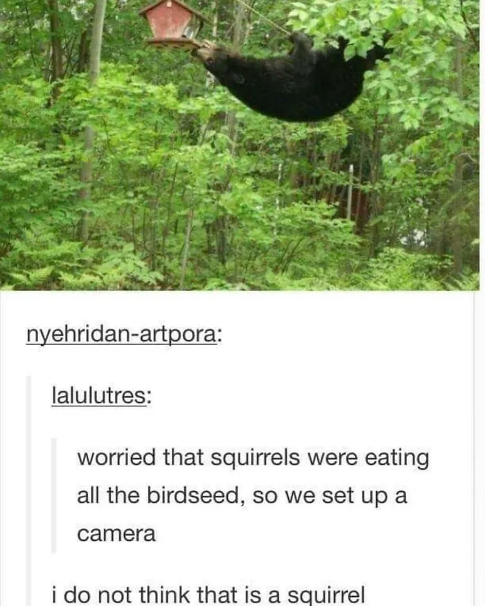 50 Times "The Weird Side Of Tumblr" Didn't Disappoint