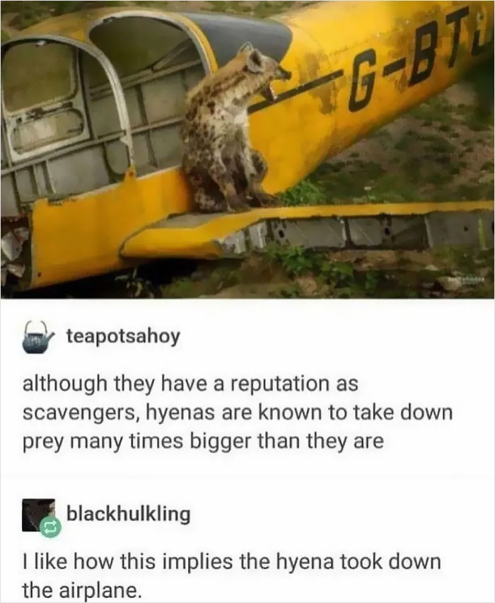 50 Times "The Weird Side Of Tumblr" Didn't Disappoint