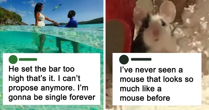 50 Times "The Weird Side Of Tumblr" Didn't Disappoint