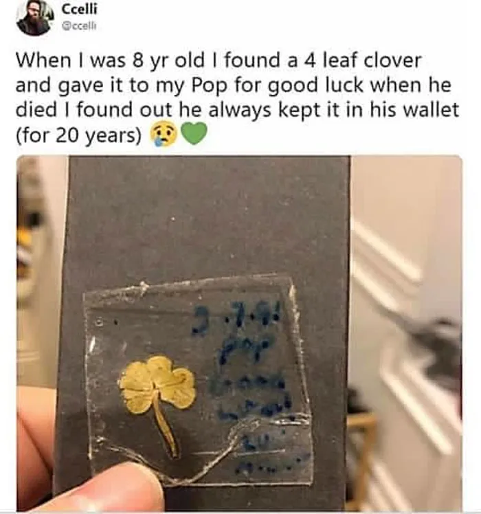 50 Wholesome Memes That Remind Us The World Isn't All Bad