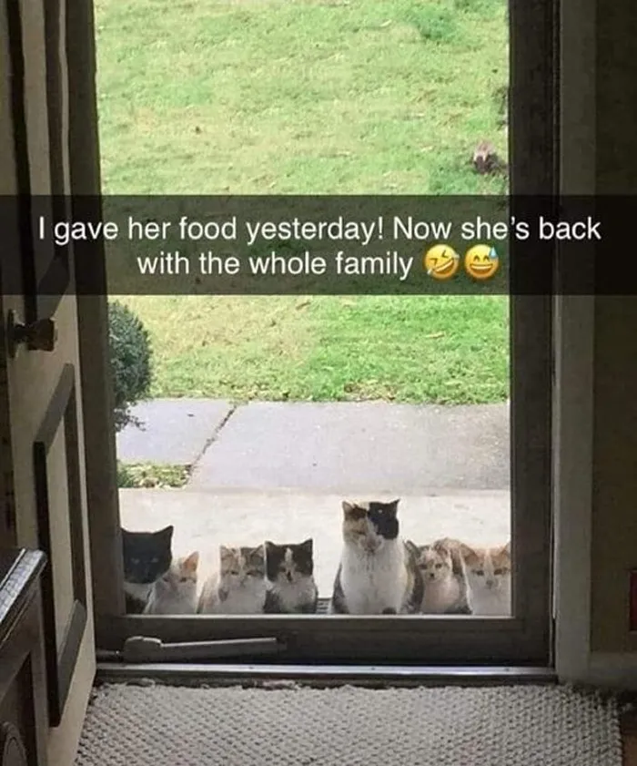 50 Wholesome Memes That Remind Us The World Isn't All Bad
