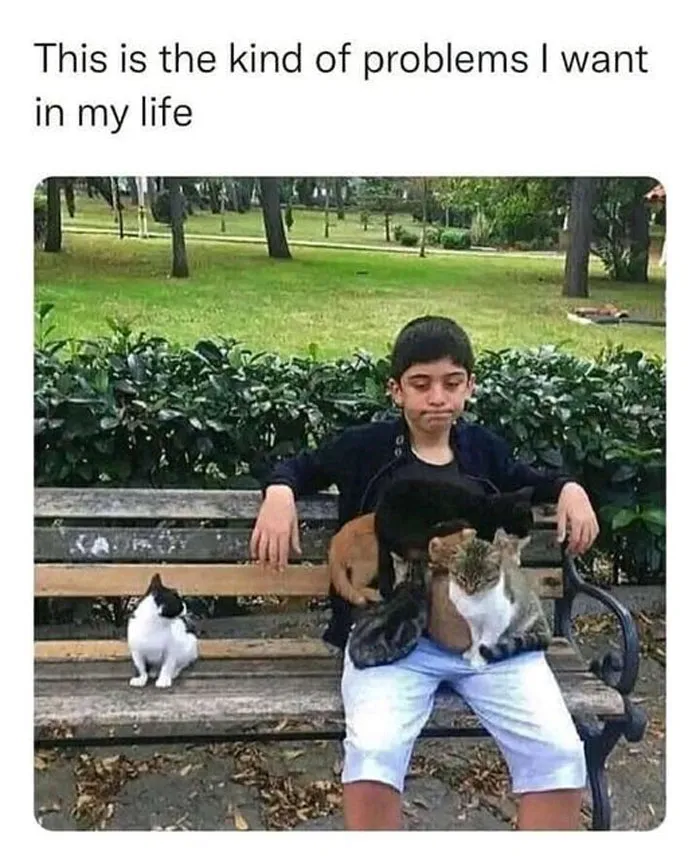 50 Wholesome Memes That Remind Us The World Isn't All Bad