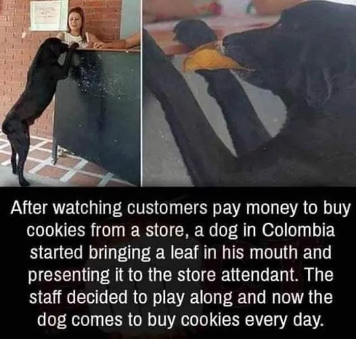 50 Wholesome Memes That Remind Us The World Isn't All Bad