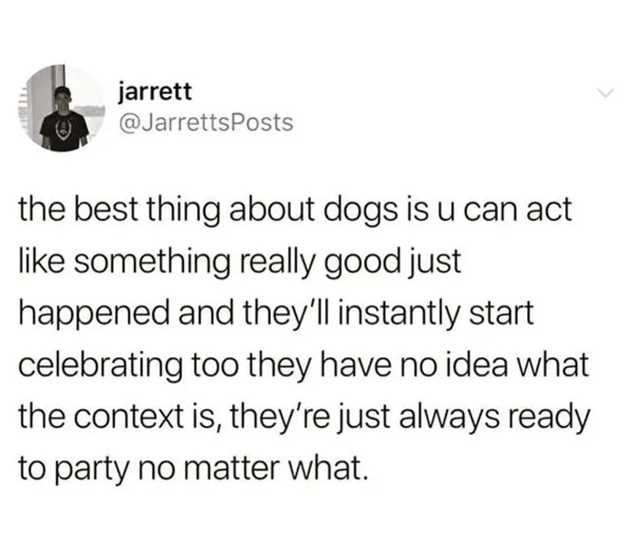 Wholesome-Memes-Funny