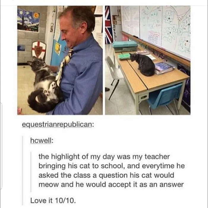 50 Wholesome Memes That Remind Us The World Isn't All Bad