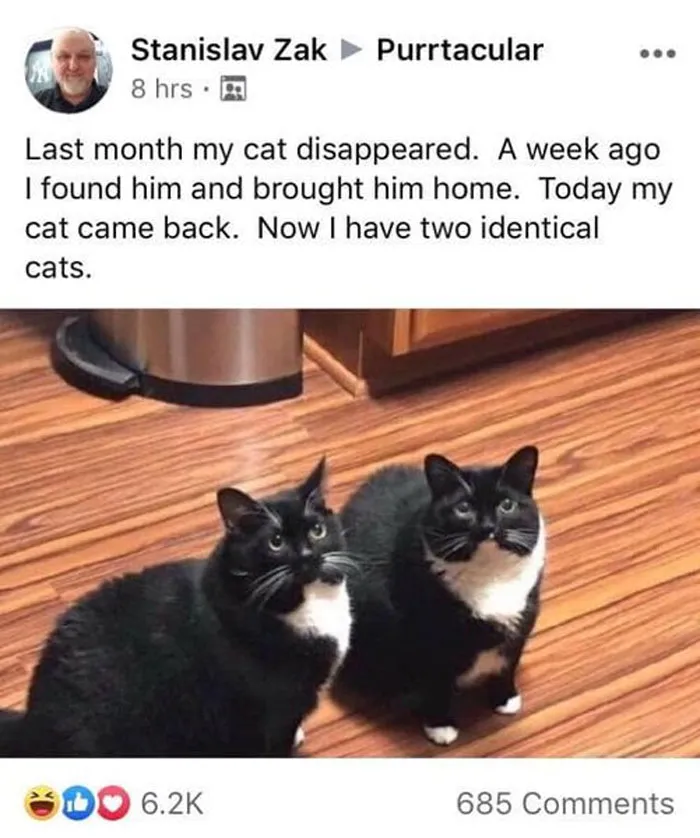 50 Wholesome Memes That Remind Us The World Isn't All Bad