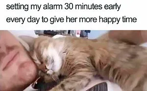 50 Wholesome Memes That Remind Us The World Isn't All Bad