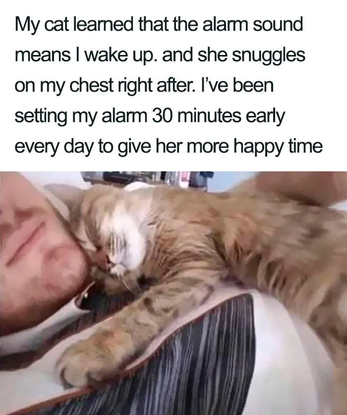 50 Wholesome Memes That Remind Us The World Isn't All Bad