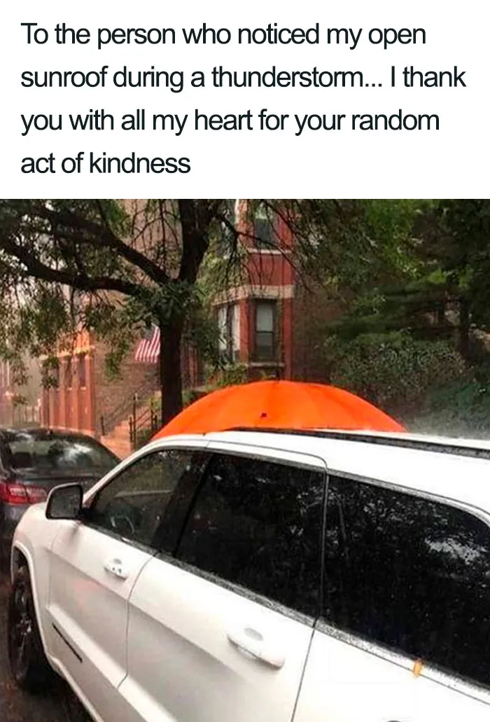 50 Wholesome Memes That Remind Us The World Isn't All Bad