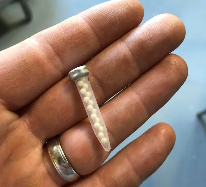 Found This Behind A Commercial Freezer While Doing Renovations. Plastic Casing, Plastic Looking Balls, Metal Shroud, About 1.5 Inches In Length. Wall Anchor? Cyanide Capsule?