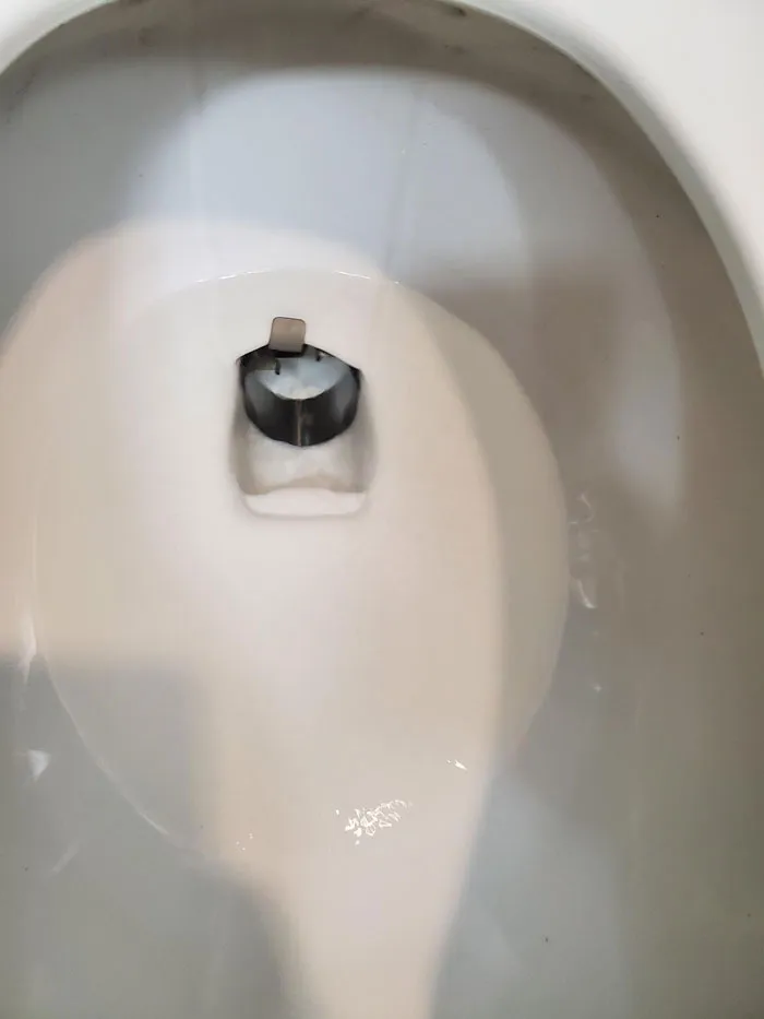 Witt: This Metal "Ring" Was In Every Toilet In A Hospital. No Search I Have Done Was Able To Locate A Match Or Answer
