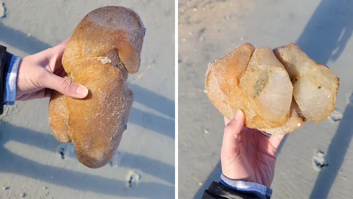 Found On The Beach Near Myrtle Beach, Sc. We Just Had A Big Storm. It's Very Firm And Breaks Apart Smoothly. Seems Organic