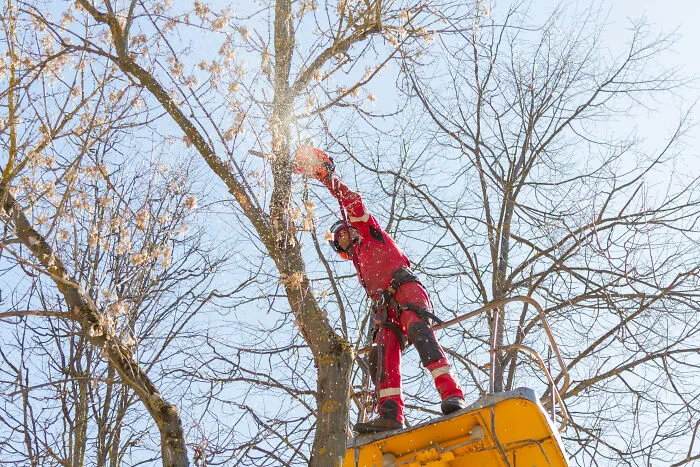 A Photographer Working At An Altitude (28 Pics)