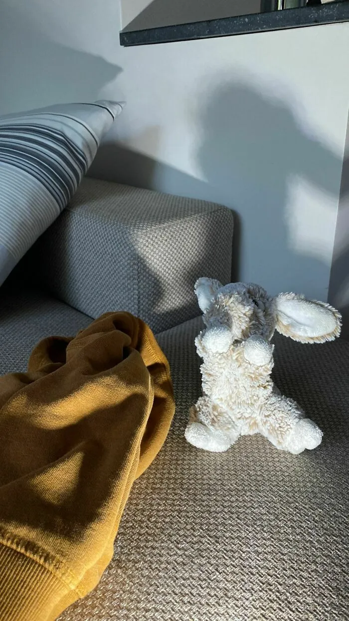 My Dad Sent Me This “Found Jerome’s Bunny”
