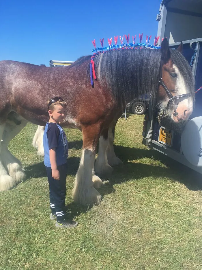Country Shows