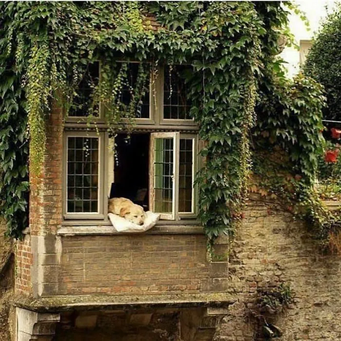 40 Casas de ensueño que no parecen reales, compartidas en el instagram "Un lugar donde me gustaría vivir"