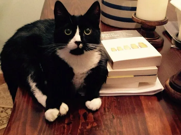 This Is Henry. He Reads Foucault.