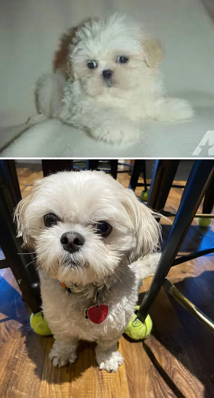 When We Got Him In 2018 vs. 2022
