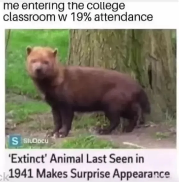 Facebook Page Shares 50 Memes That Might Teach You Something
