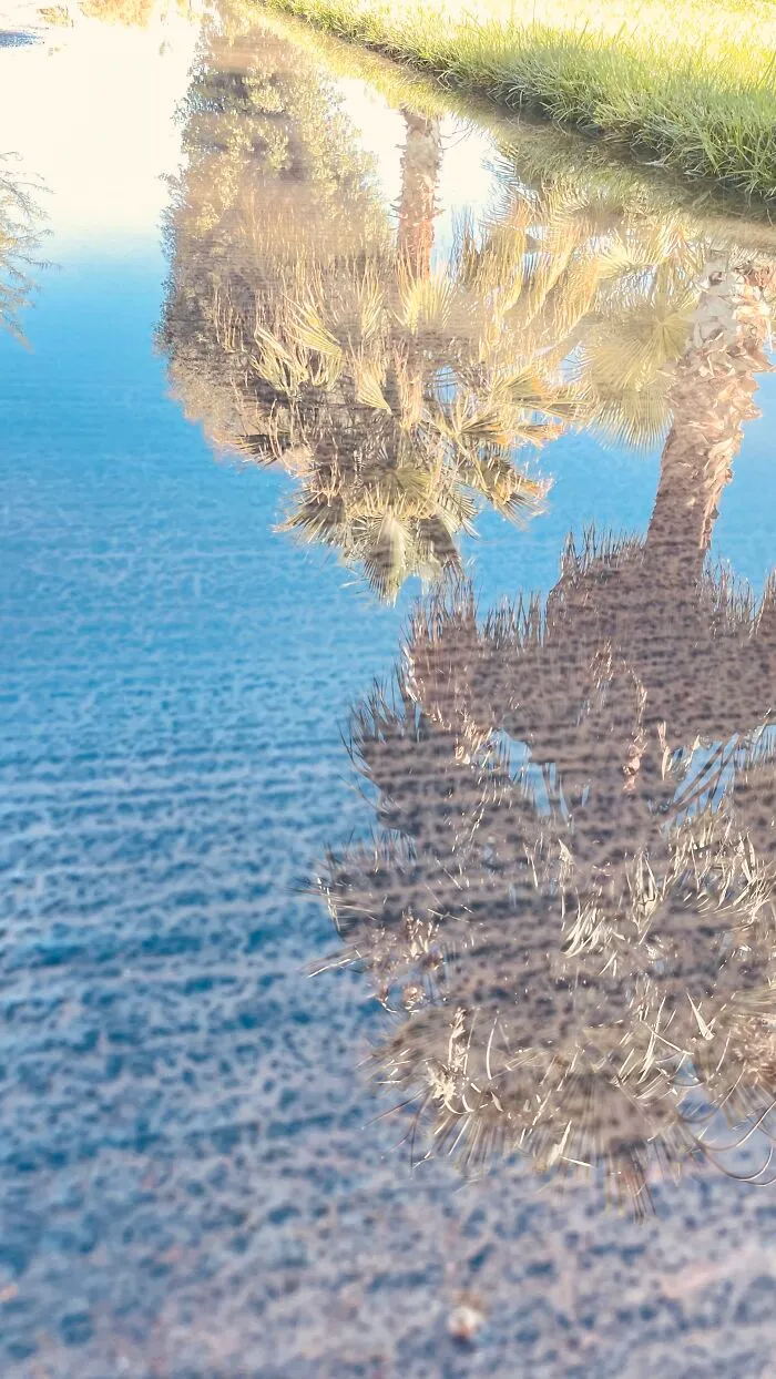 New Pictures That I Took (33 Pics)