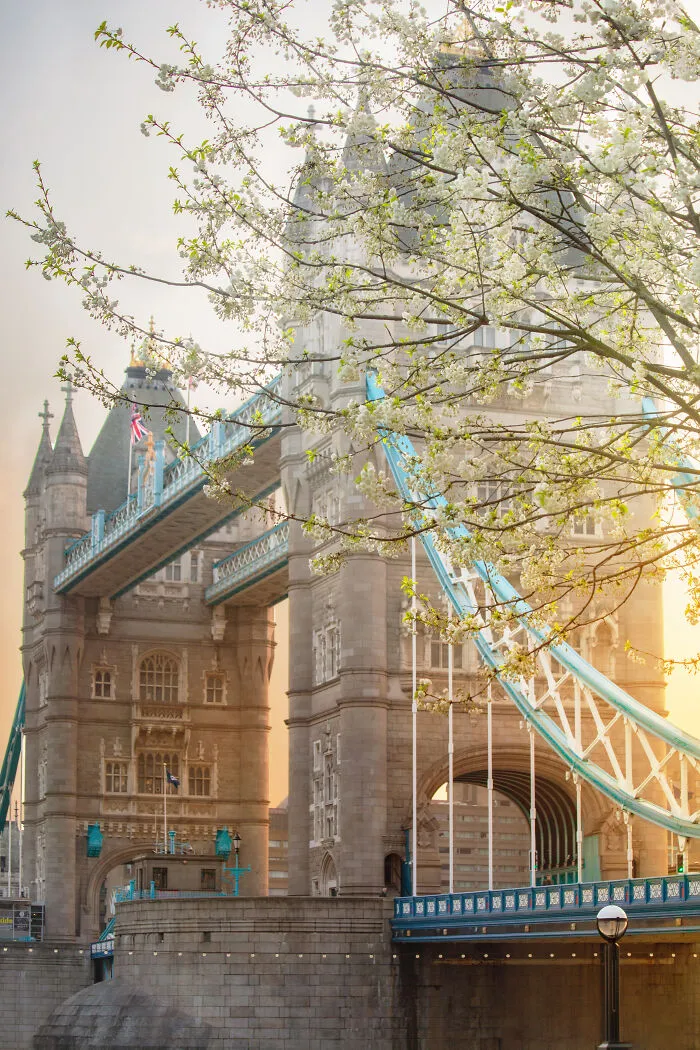 Most People Don't Know That London Is One Of The Greenest Cities In The World, And Here Are My 23 Photos To Prove It