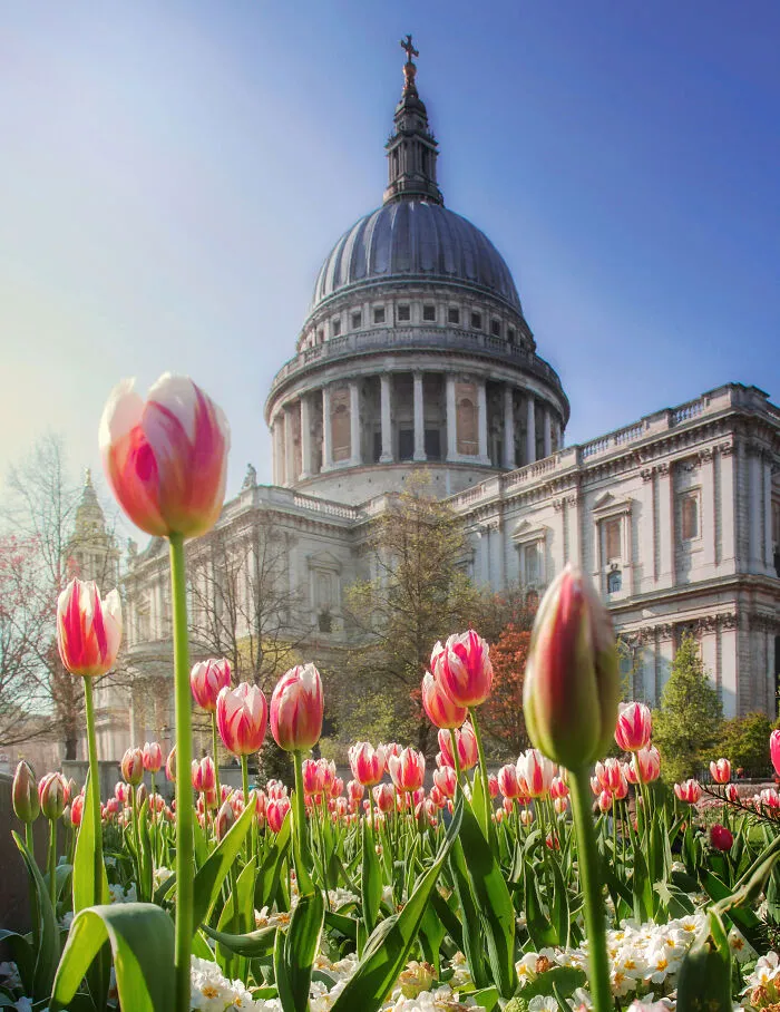 Most People Don't Know That London Is One Of The Greenest Cities In The World, And Here Are My 23 Photos To Prove It