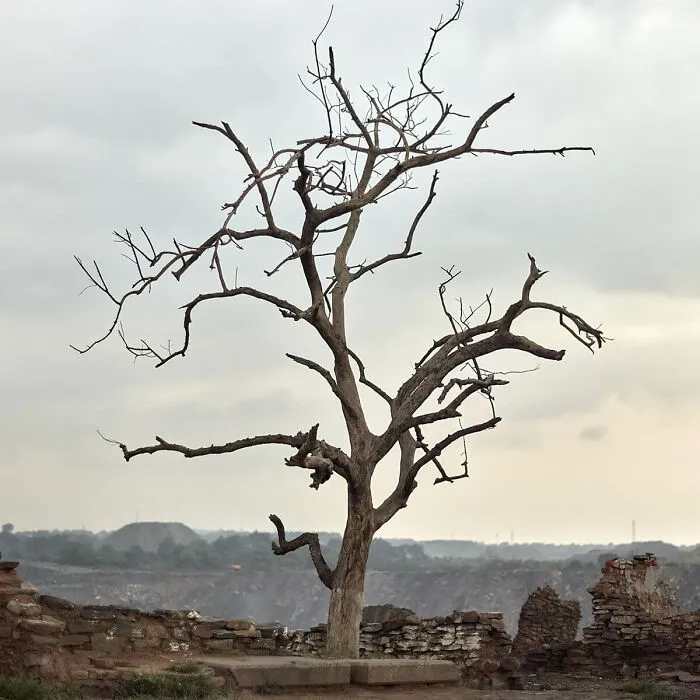 Photographer Captures The Collapse Of Nature In His “Black Diamond” Exhibition (18 Pics)