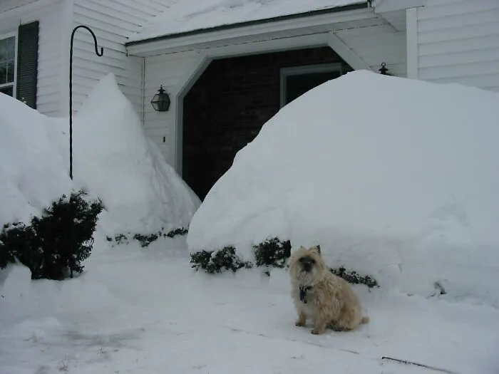 It Was A Long Winter For Buzzy Mcduff.