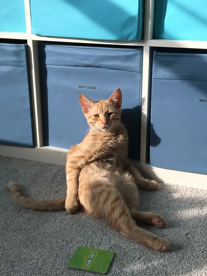 Bleh…