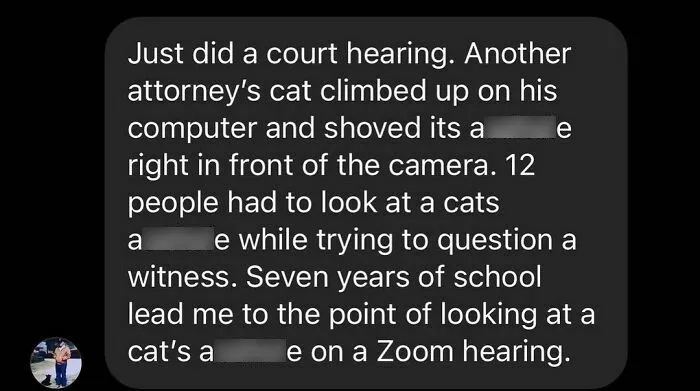50 Of The Funniest Conversations People Have Overheard In Courthouses