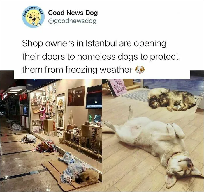 This Instagram Account Shares Uplifting News From Around The World So You Can See All The Good There Is (50 Posts)