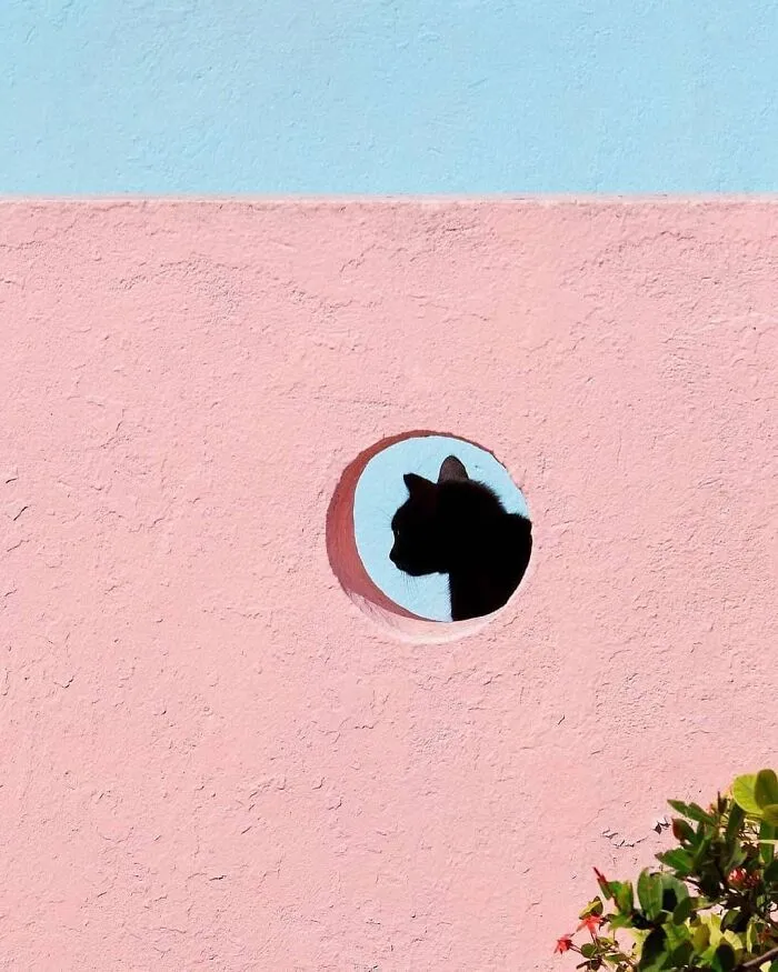 Here Are The 30 Most Jaw-Dropping Animal Photos, As Shared By "The Decisive Moments Magazine"