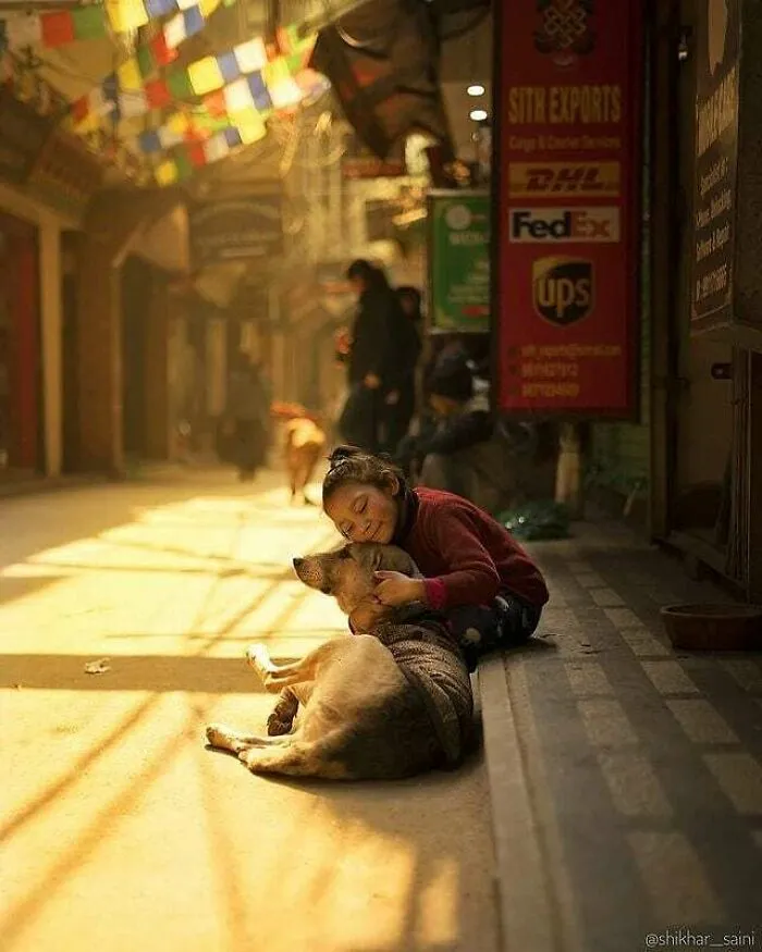30 Impresionantes fotos de animales compartidas por la revista Decisive Moments