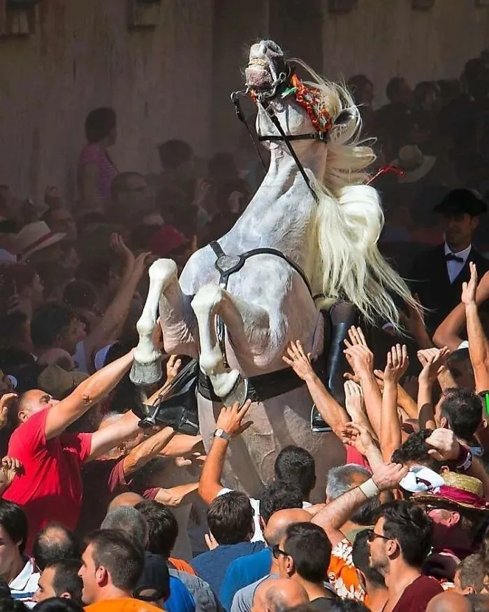 Here Are The 30 Most Jaw-Dropping Animal Photos, As Shared By "The Decisive Moments Magazine"