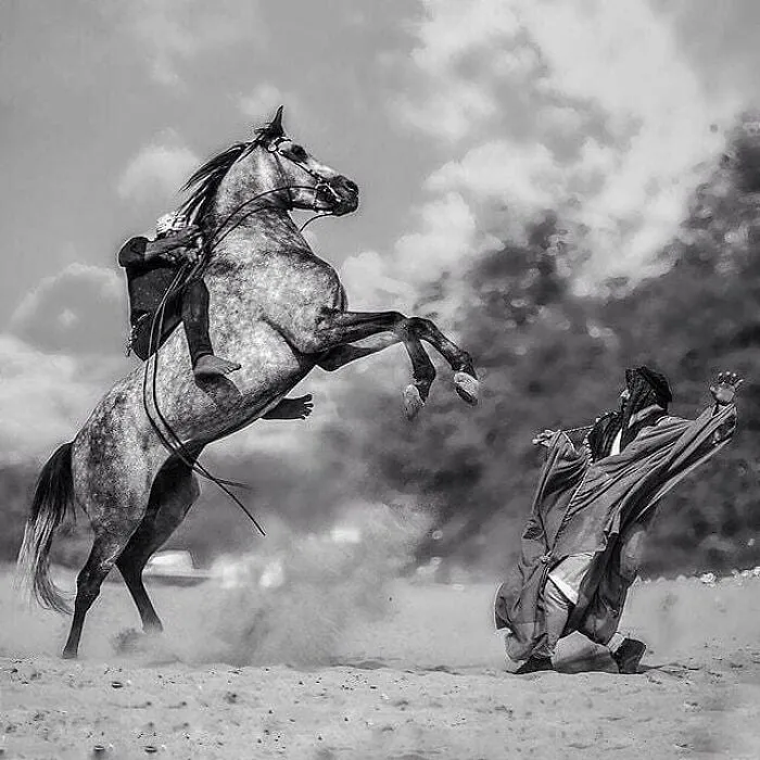 Here Are The 30 Most Jaw-Dropping Animal Photos, As Shared By "The Decisive Moments Magazine"