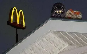 Here Are The 30 Most Jaw-Dropping Animal Photos, As Shared By "The Decisive Moments Magazine"