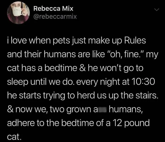 “I’m Not A Regular Mom, I’m A Cool Mom”: 40 Neat Mom Memes That Sum Up The Absurdity And Hilarity Of Raising Kids
