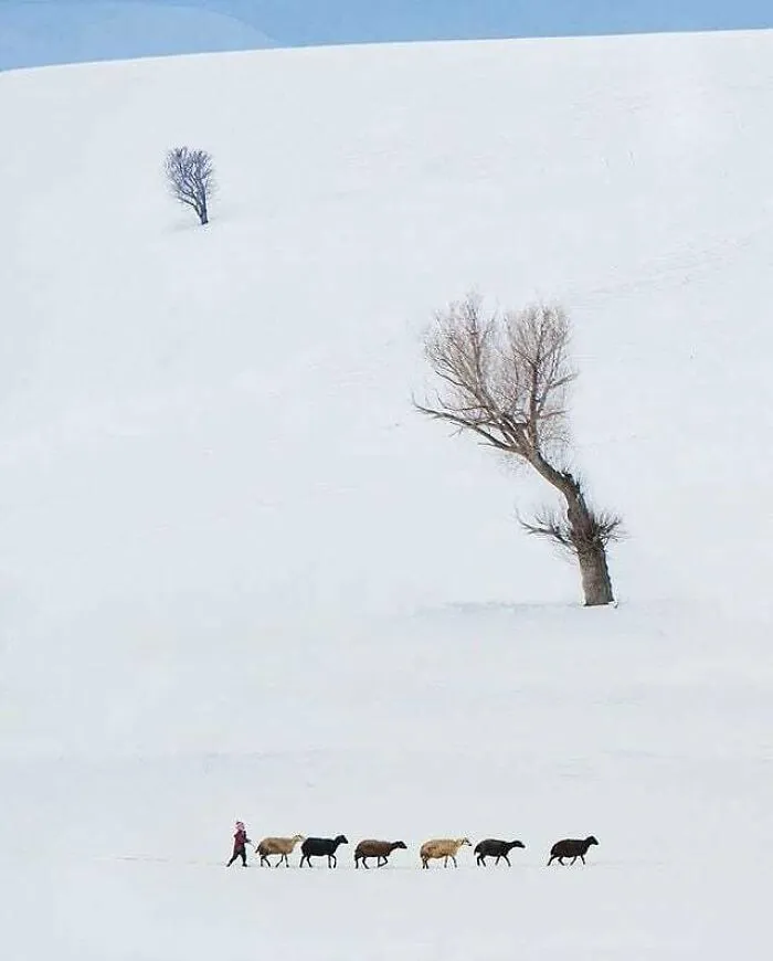 Here Are The 30 Most Jaw-Dropping Animal Photos, As Shared By "The Decisive Moments Magazine"
