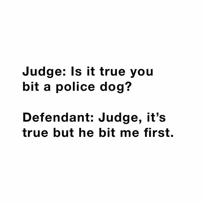 50 Of The Funniest Conversations People Have Overheard In Courthouses