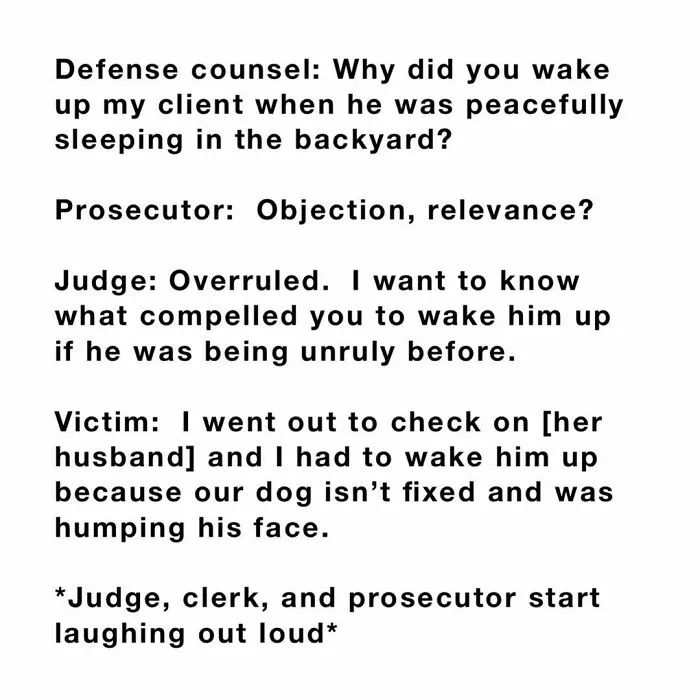 50 Of The Funniest Conversations People Have Overheard In Courthouses