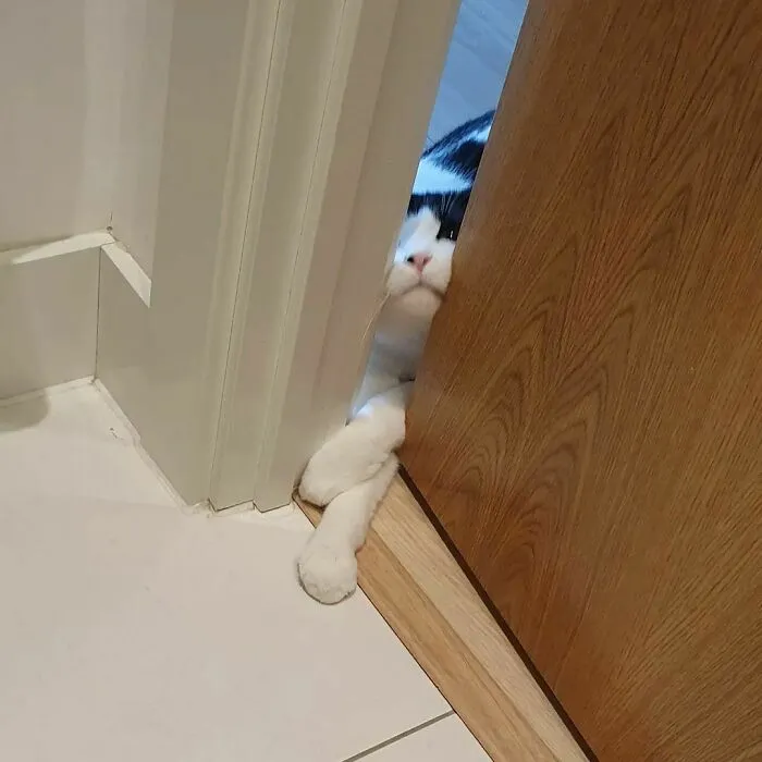 Mum, How Dare You Go To The Bathroom Without Me