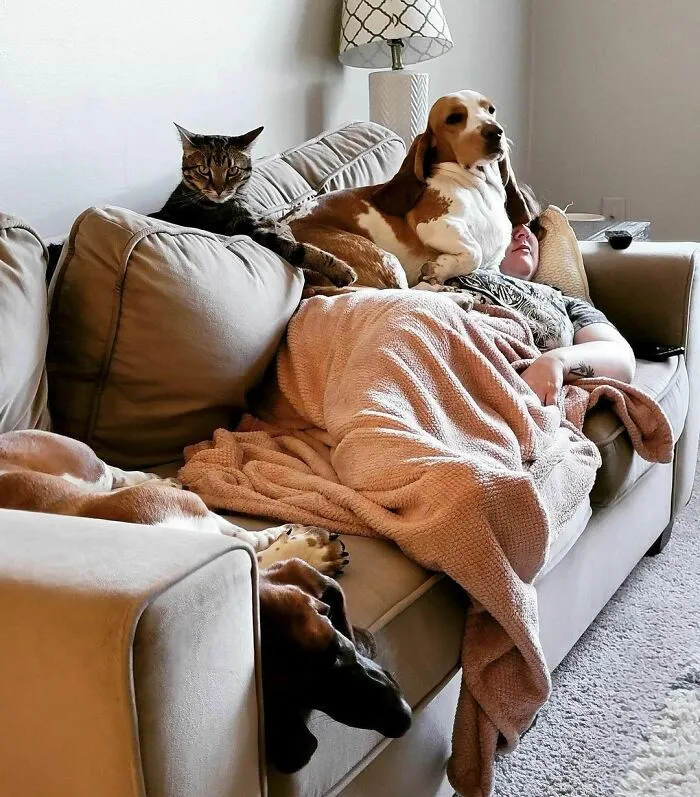But Mom, You’re Way More Comfier