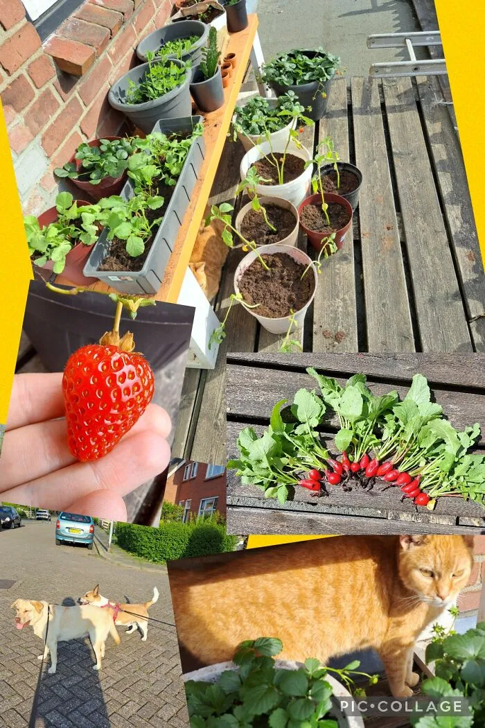 Plants, Warm Cats And Taking Walks Without A Coat On!