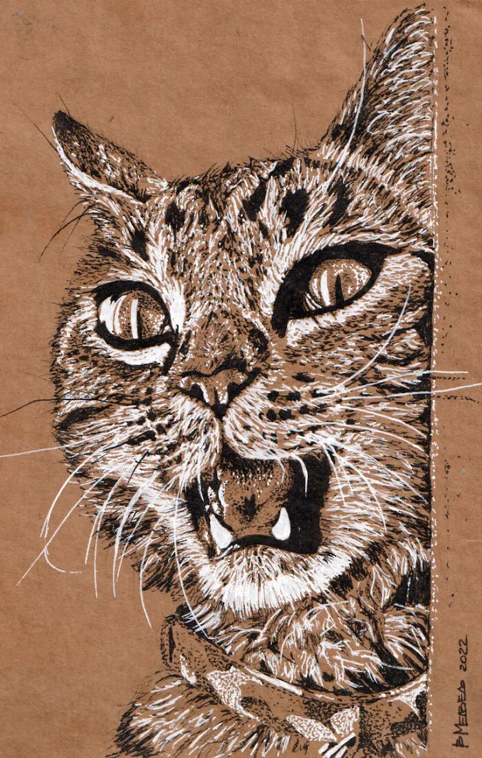 My Graphic Experiments On Craft Paper (13 Pics)