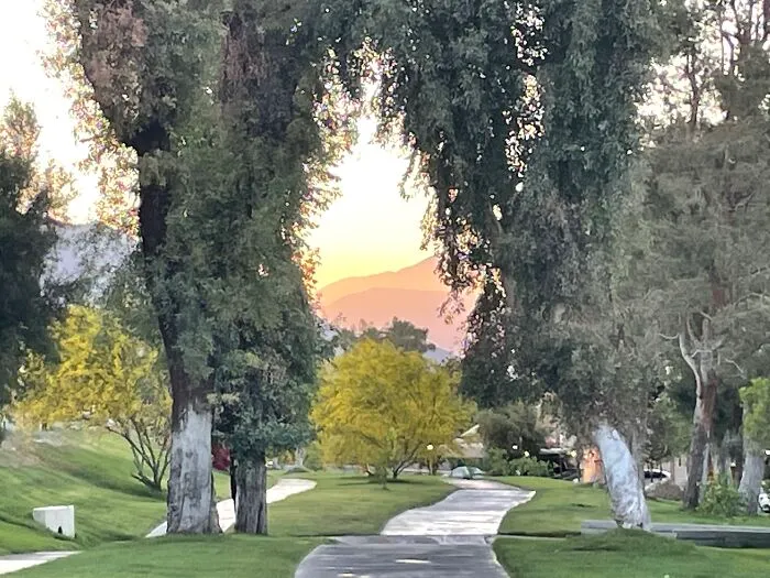 New Pictures That I Took (33 Pics)